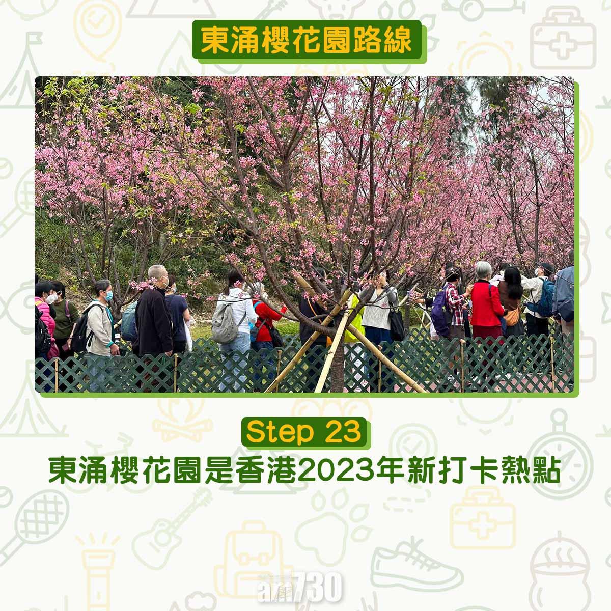 東涌櫻花園
