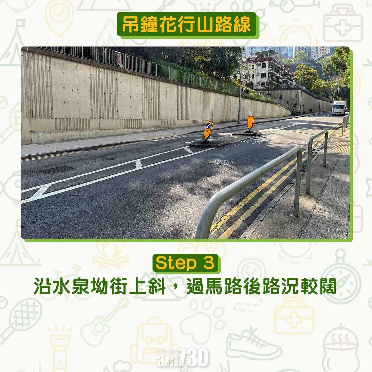 吊鐘花︱十二笏鄰近沙田圍黃大仙 市區簡易賞花之選