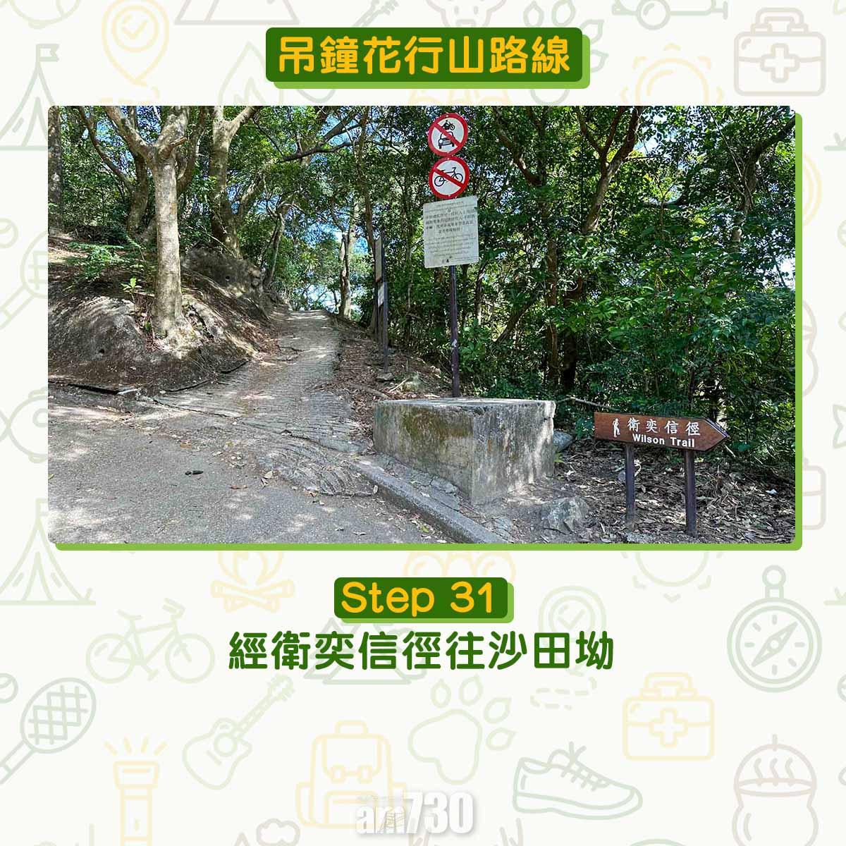 吊鐘花︱十二笏鄰近沙田圍黃大仙 市區簡易賞花之選