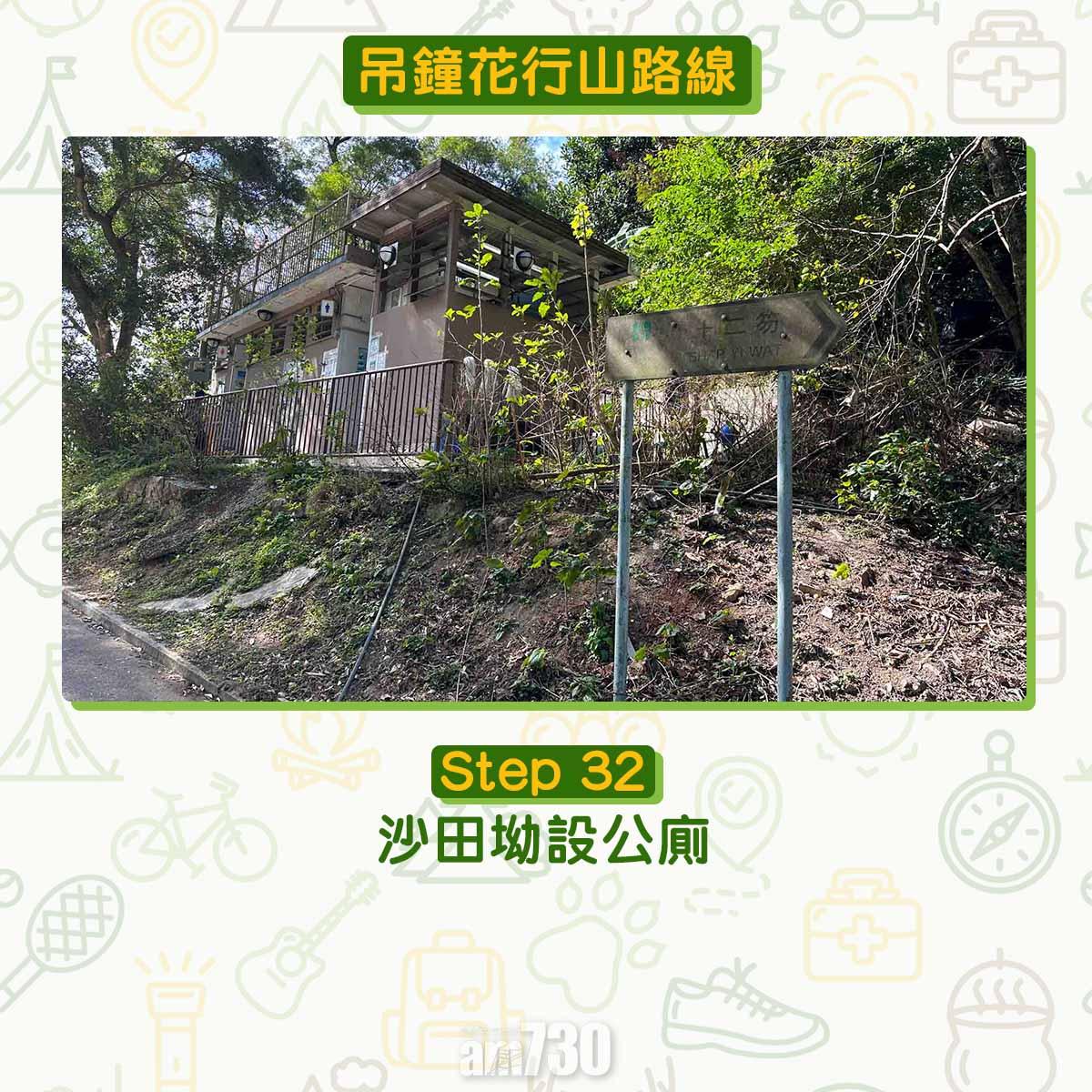吊鐘花︱十二笏鄰近沙田圍黃大仙 市區簡易賞花之選