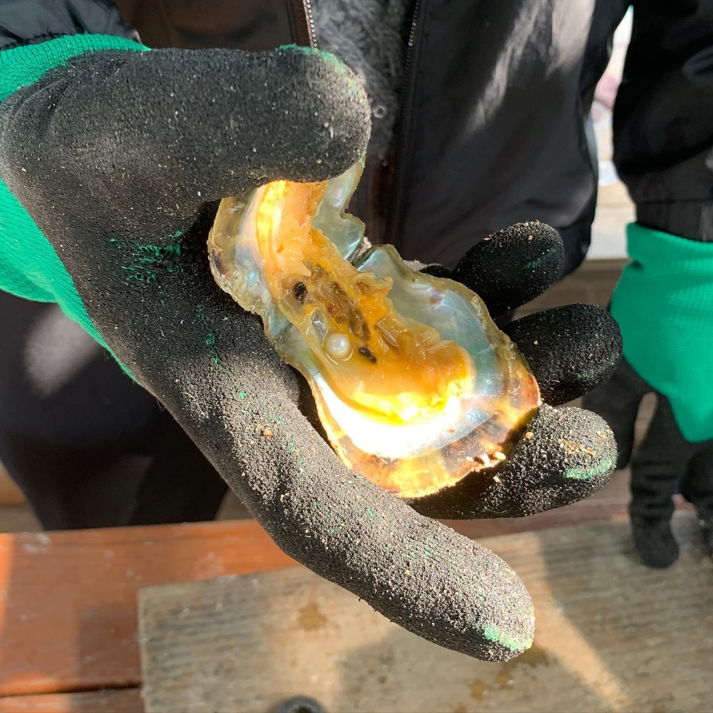 情人節好去處/活動2023|珍珠首飾工作坊