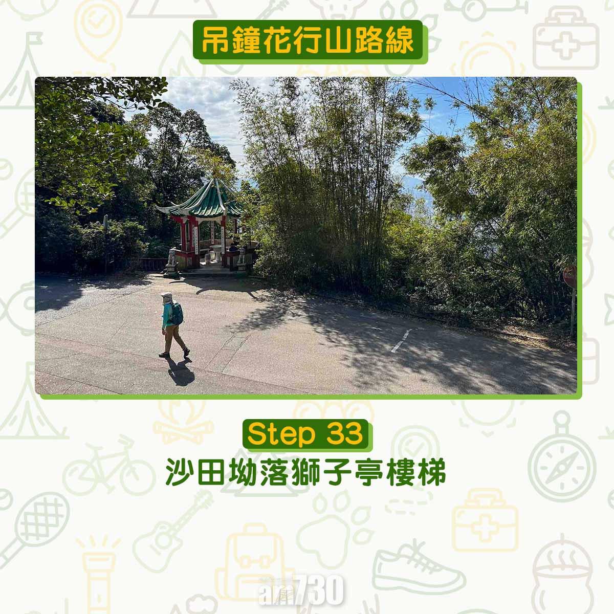 吊鐘花︱十二笏鄰近沙田圍黃大仙 市區簡易賞花之選