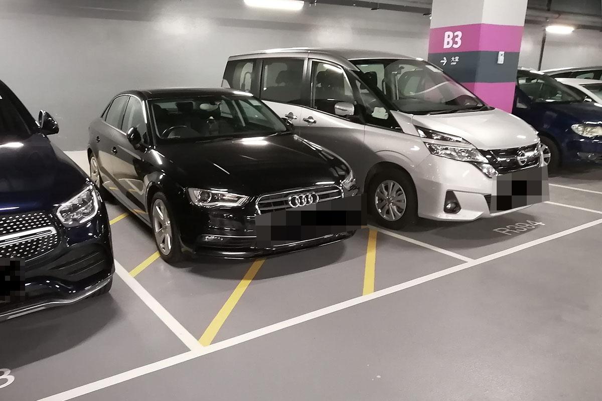 香園圍邊境管制站停車場車位供不應求,有車輛獲安排在非車位位置停泊。(FB群組「北區之友」)