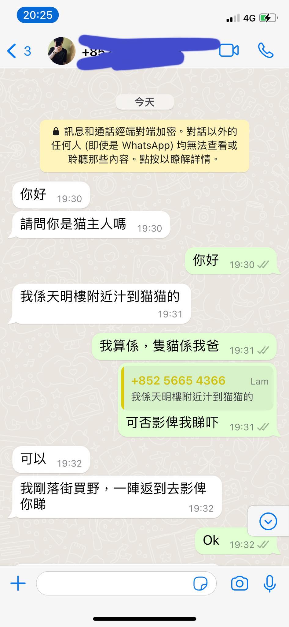 貓主慘遇騙案,騙徒訛稱拾獲失貓卻要先付2000蚊。(網上圖片)