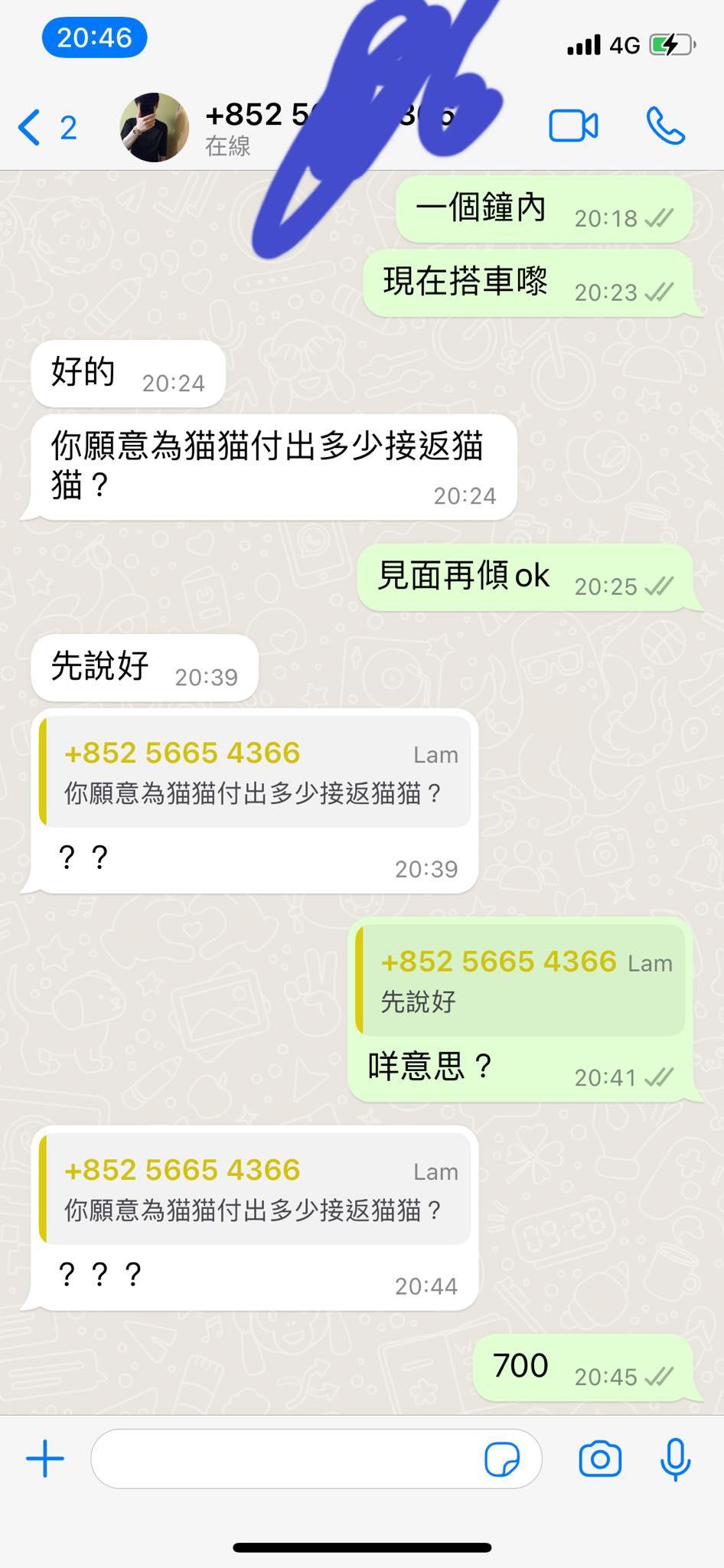 貓主慘遇騙案,騙徒訛稱拾獲失貓卻要先付2000蚊。(網上圖片)