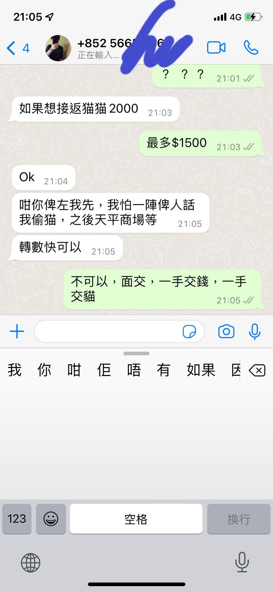 貓主慘遇騙案,騙徒訛稱拾獲失貓卻要先付2000蚊。(網上圖片)