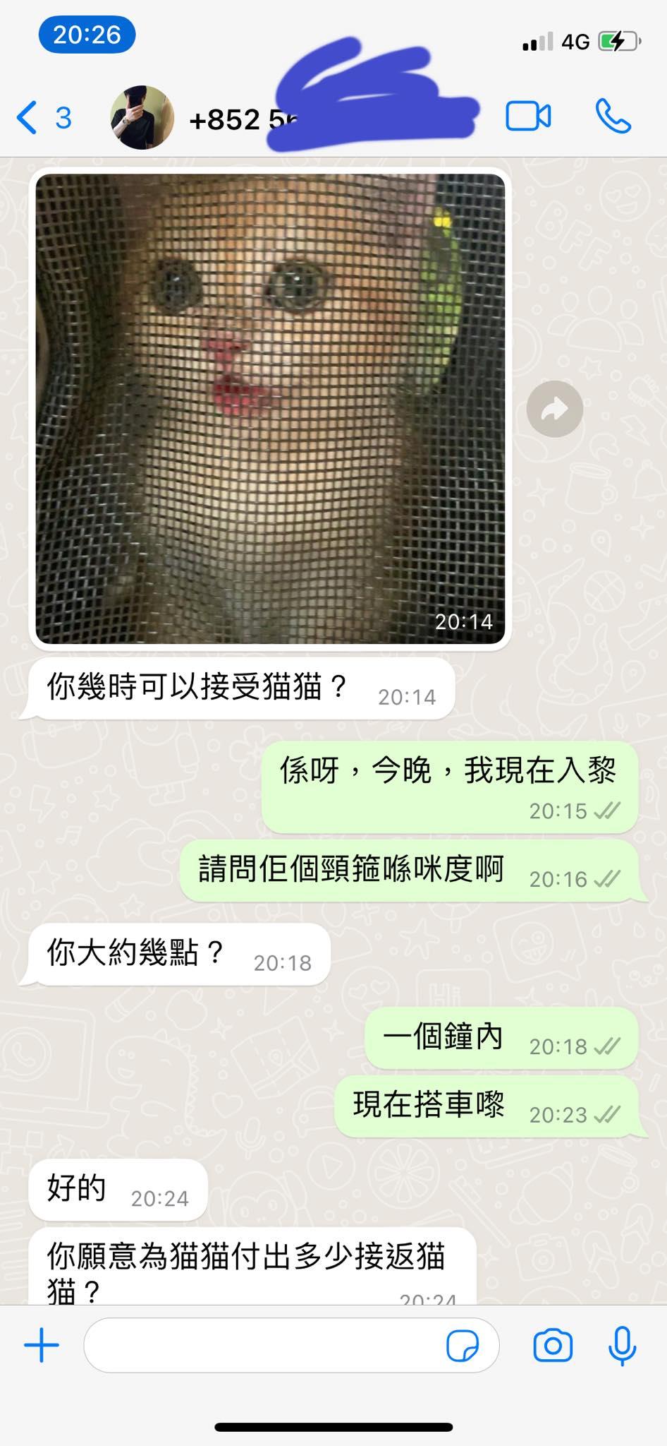 貓主慘遇騙案,騙徒訛稱拾獲失貓卻要先付2000蚊。(網上圖片)