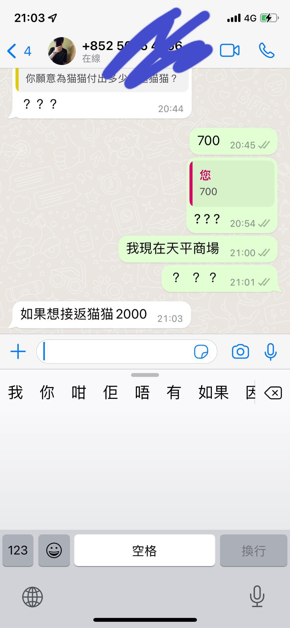 貓主慘遇騙案,騙徒訛稱拾獲失貓卻要先付2000蚊。(網上圖片)