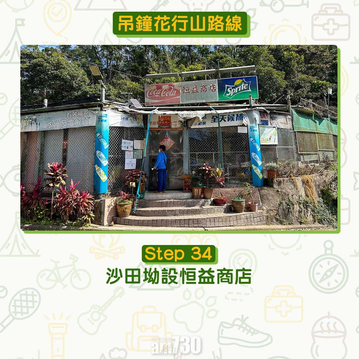 吊鐘花︱十二笏鄰近沙田圍黃大仙 市區簡易賞花之選