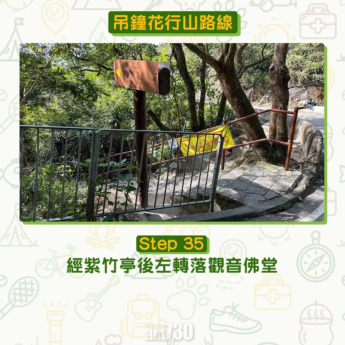 吊鐘花︱十二笏鄰近沙田圍黃大仙 市區簡易賞花之選