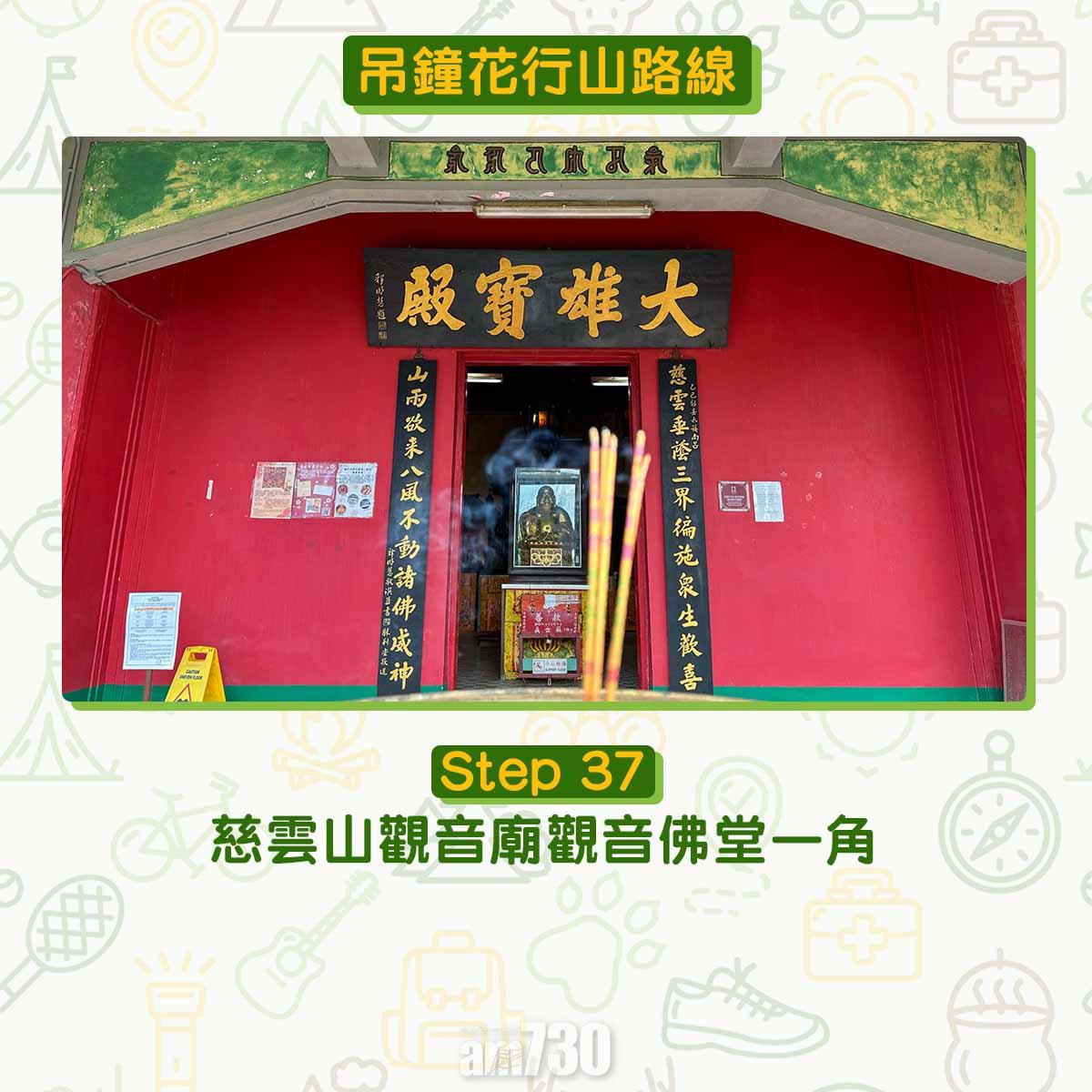 吊鐘花︱十二笏鄰近沙田圍黃大仙 市區簡易賞花之選