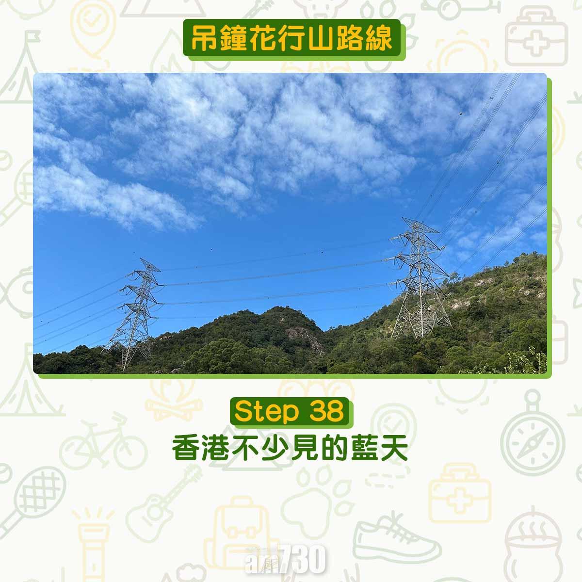 吊鐘花︱十二笏鄰近沙田圍黃大仙 市區簡易賞花之選