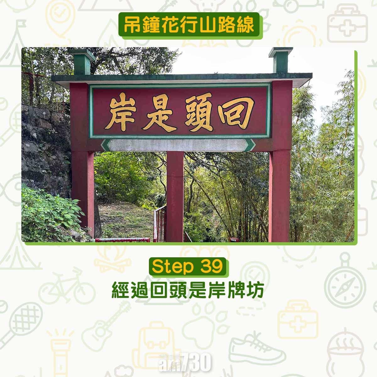 吊鐘花︱十二笏鄰近沙田圍黃大仙 市區簡易賞花之選