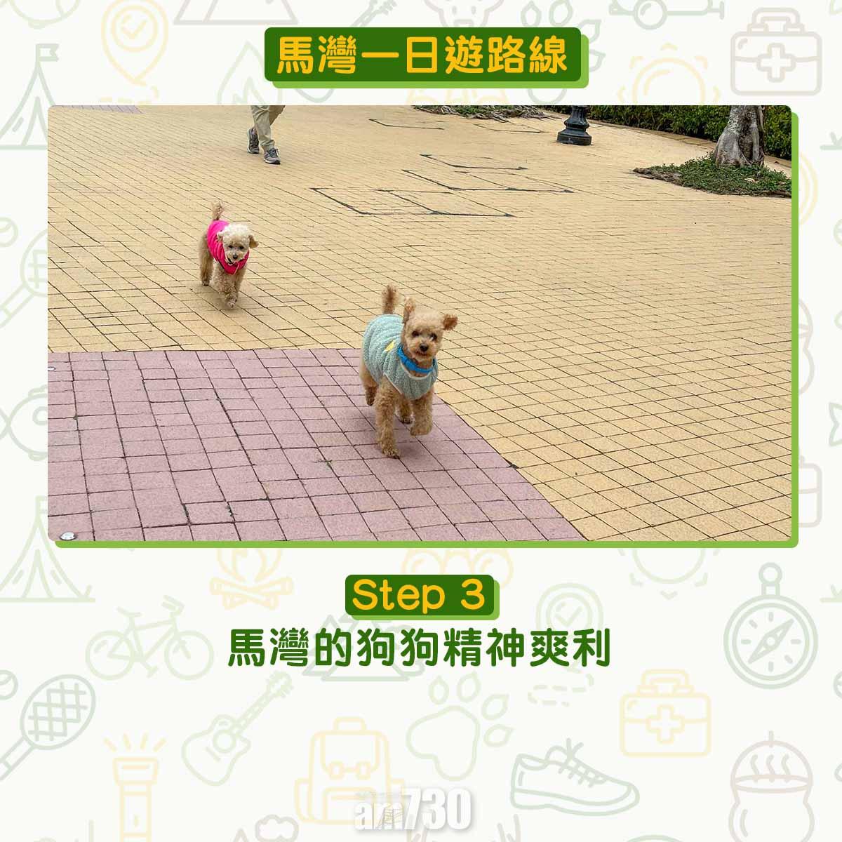 馬灣一日遊︱拍拖親子五大景點 青馬大橋到最高點