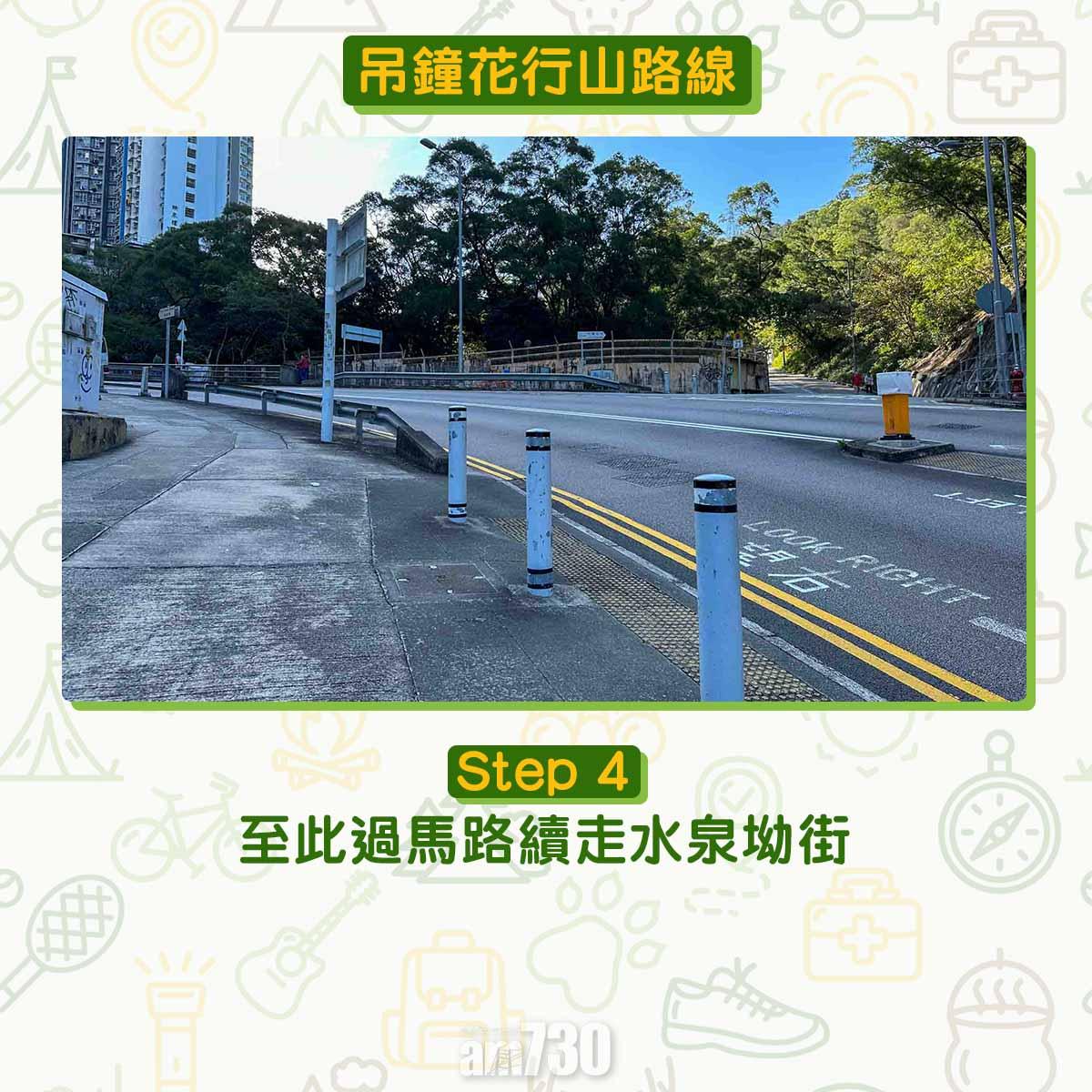 吊鐘花︱十二笏鄰近沙田圍黃大仙 市區簡易賞花之選
