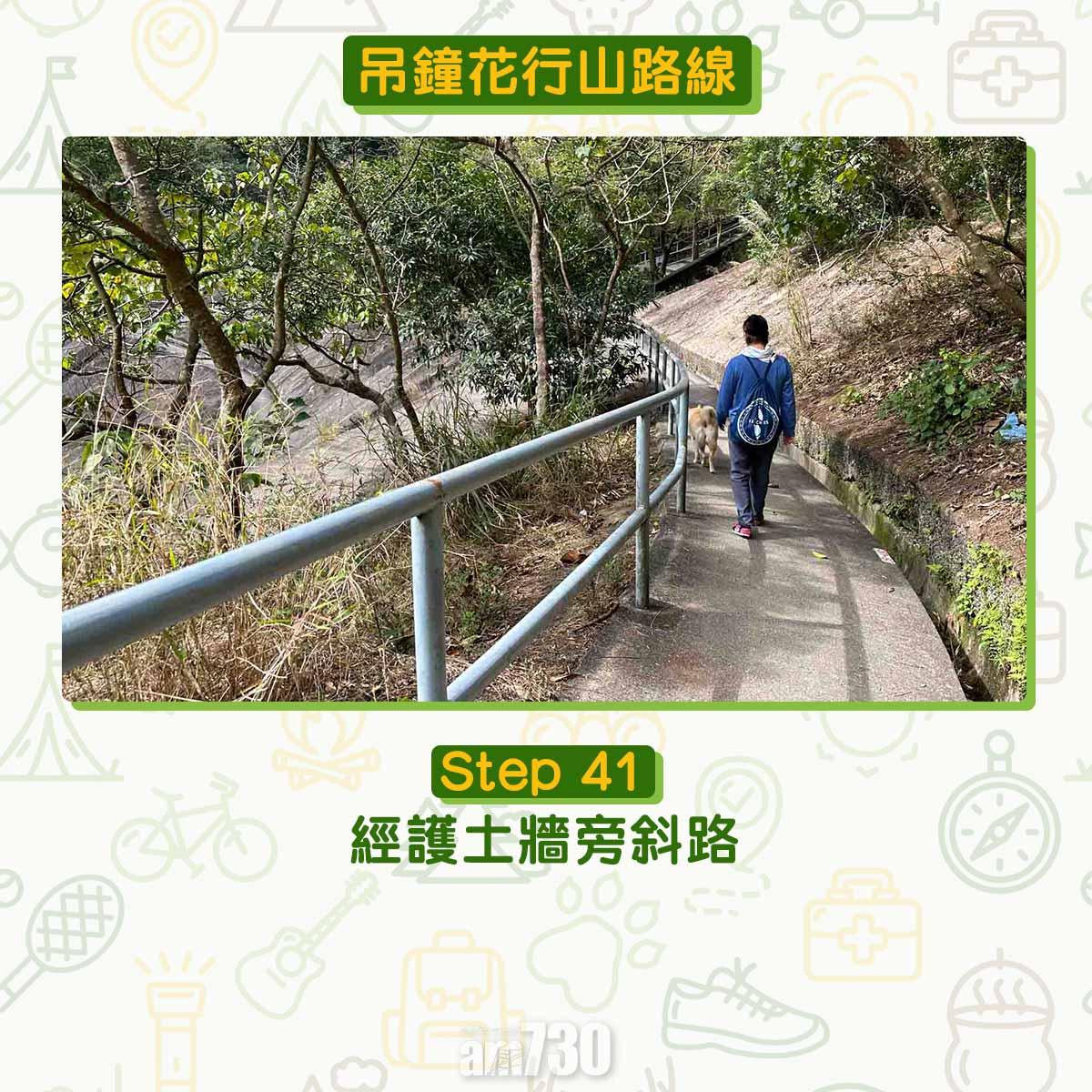 吊鐘花︱十二笏鄰近沙田圍黃大仙 市區簡易賞花之選