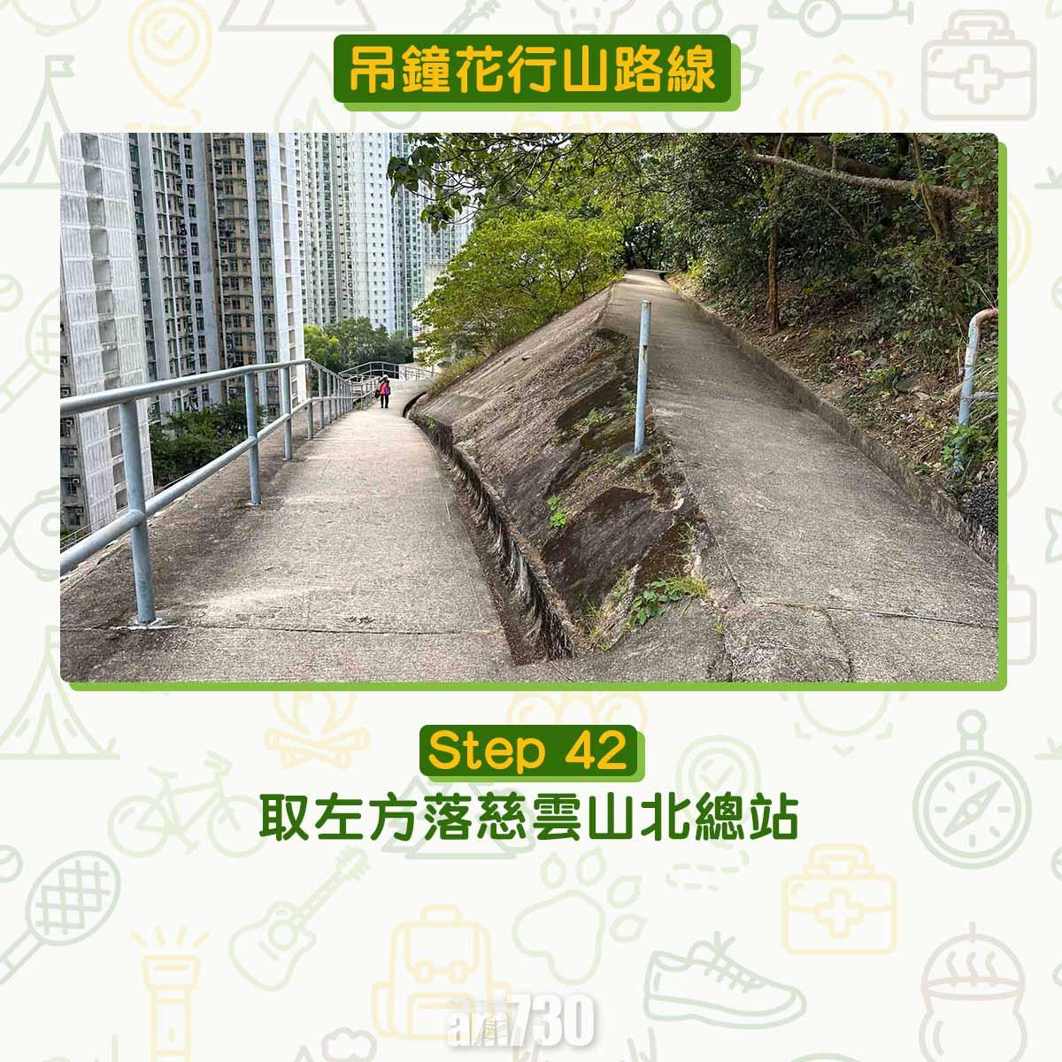 吊鐘花︱十二笏鄰近沙田圍黃大仙 市區簡易賞花之選