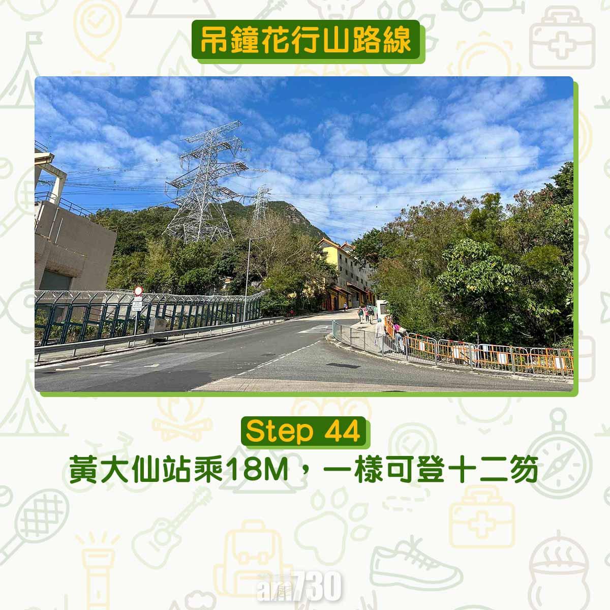 吊鐘花︱十二笏鄰近沙田圍黃大仙 市區簡易賞花之選