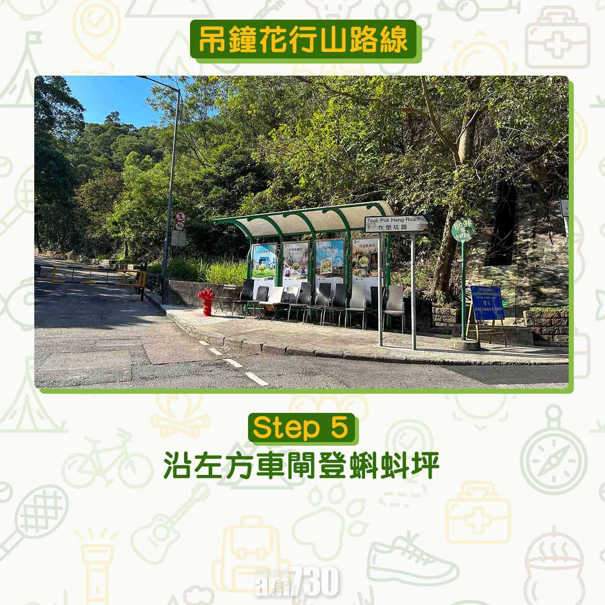 吊鐘花︱十二笏鄰近沙田圍黃大仙 市區簡易賞花之選