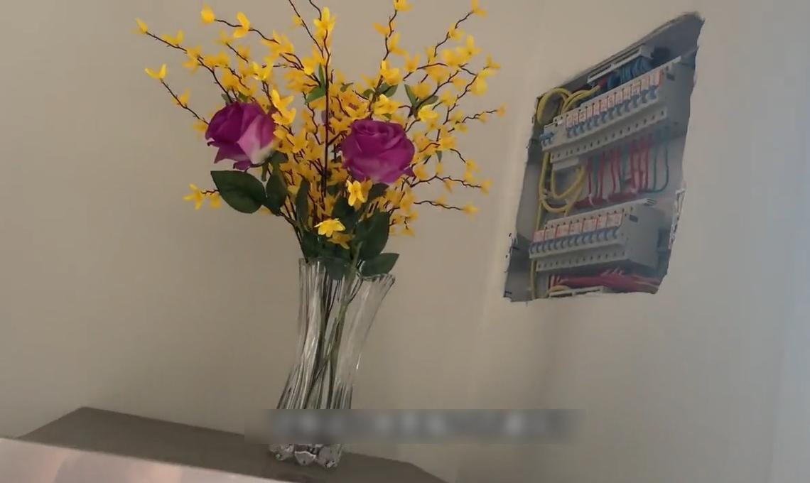 電箱沒有蓋。(互聯網)