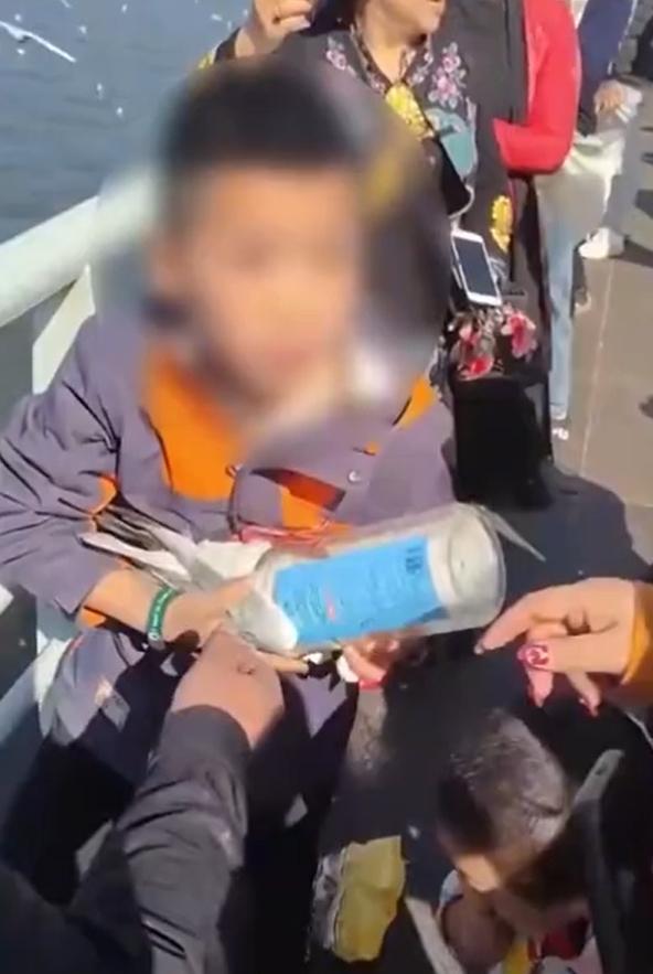 男童將海鷗強行塞入罐內,其父母在旁協助。(互聯網)