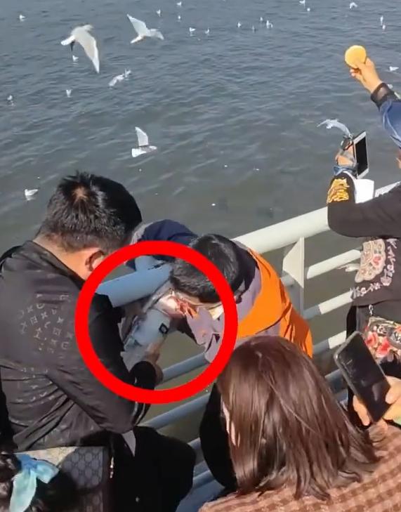 男童將海鷗強行塞入罐內,其父母在旁協助。(互聯網)