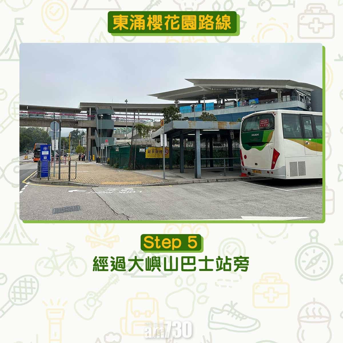 東涌櫻花園交通及位置