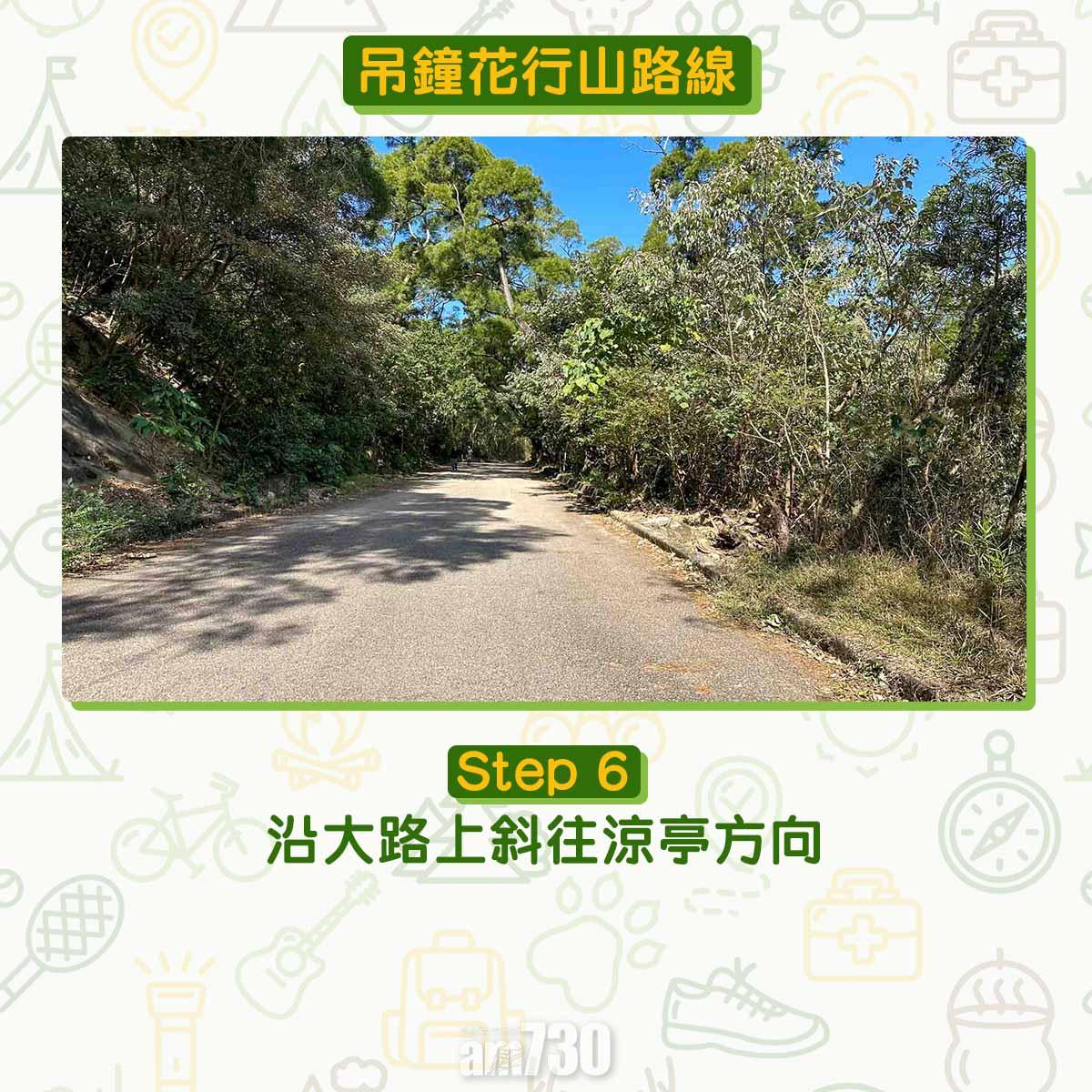 吊鐘花︱十二笏鄰近沙田圍黃大仙 市區簡易賞花之選