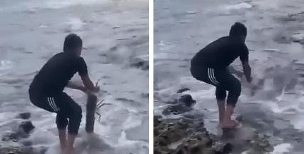 蔡老闆將巨型龍蝦帶到海邊放生。(互聯網)