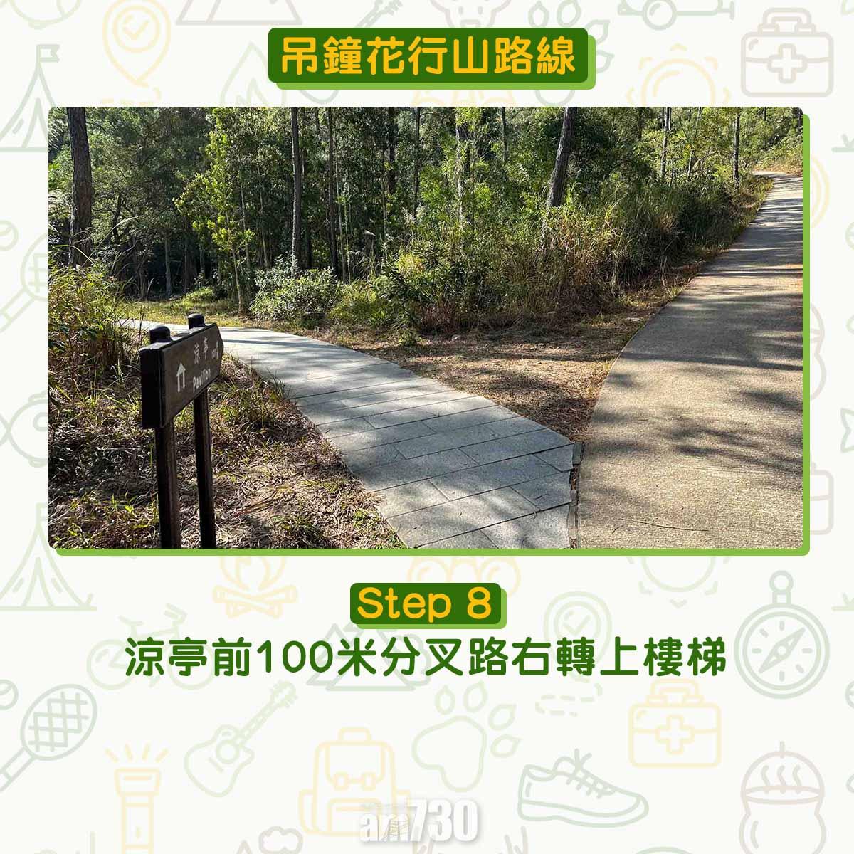 吊鐘花︱十二笏鄰近沙田圍黃大仙 市區簡易賞花之選