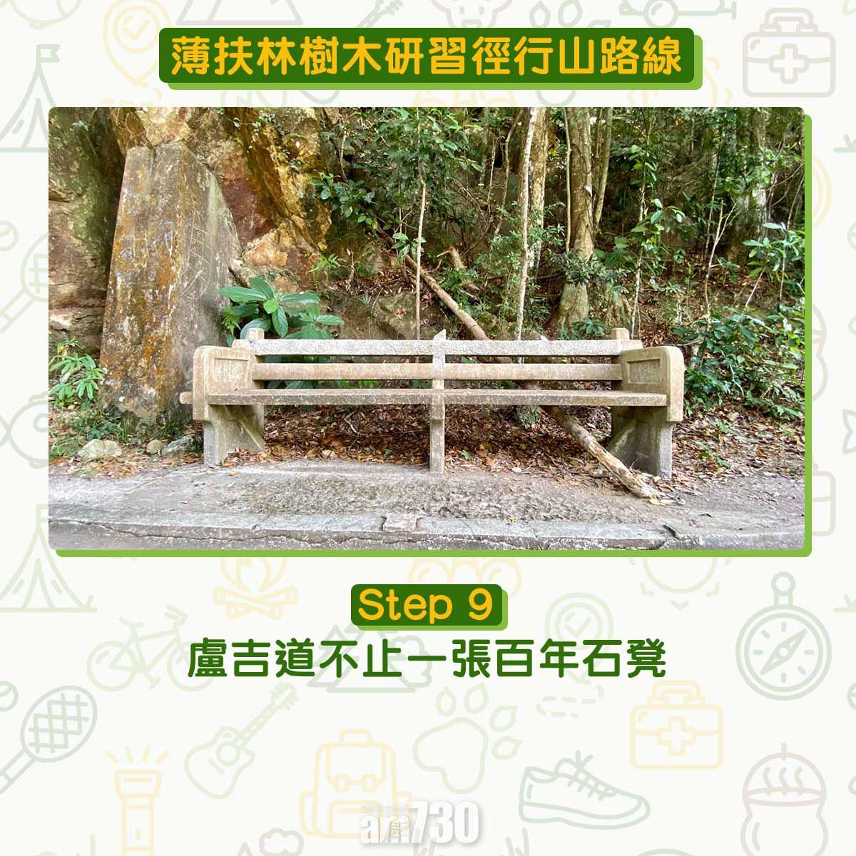 薄扶林樹木研習徑 繞太平山一圈180度賞維港