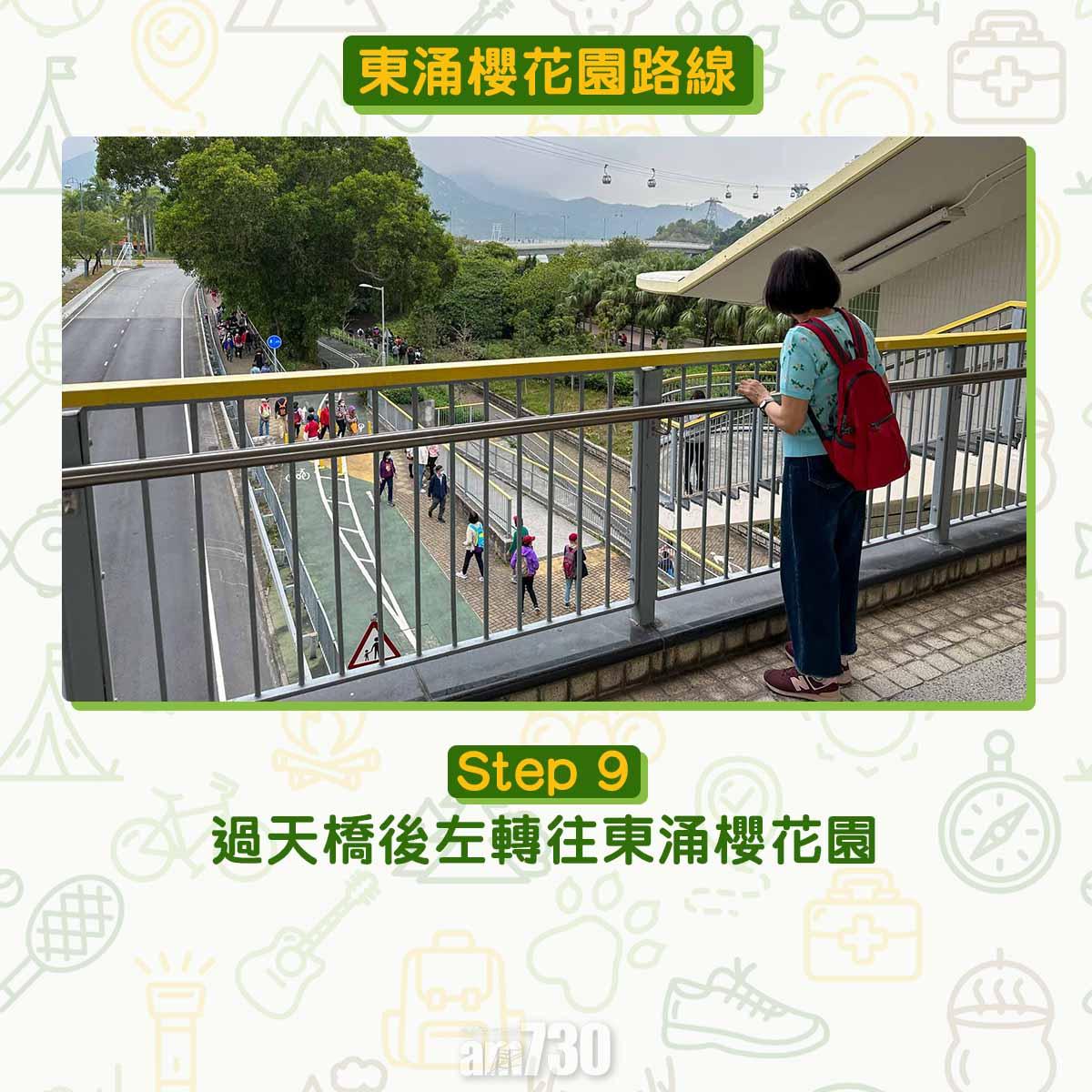 東涌櫻花園交通及位置