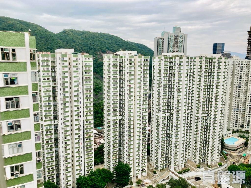 單位景觀主要望開揚樓景和山景。(代理提供)