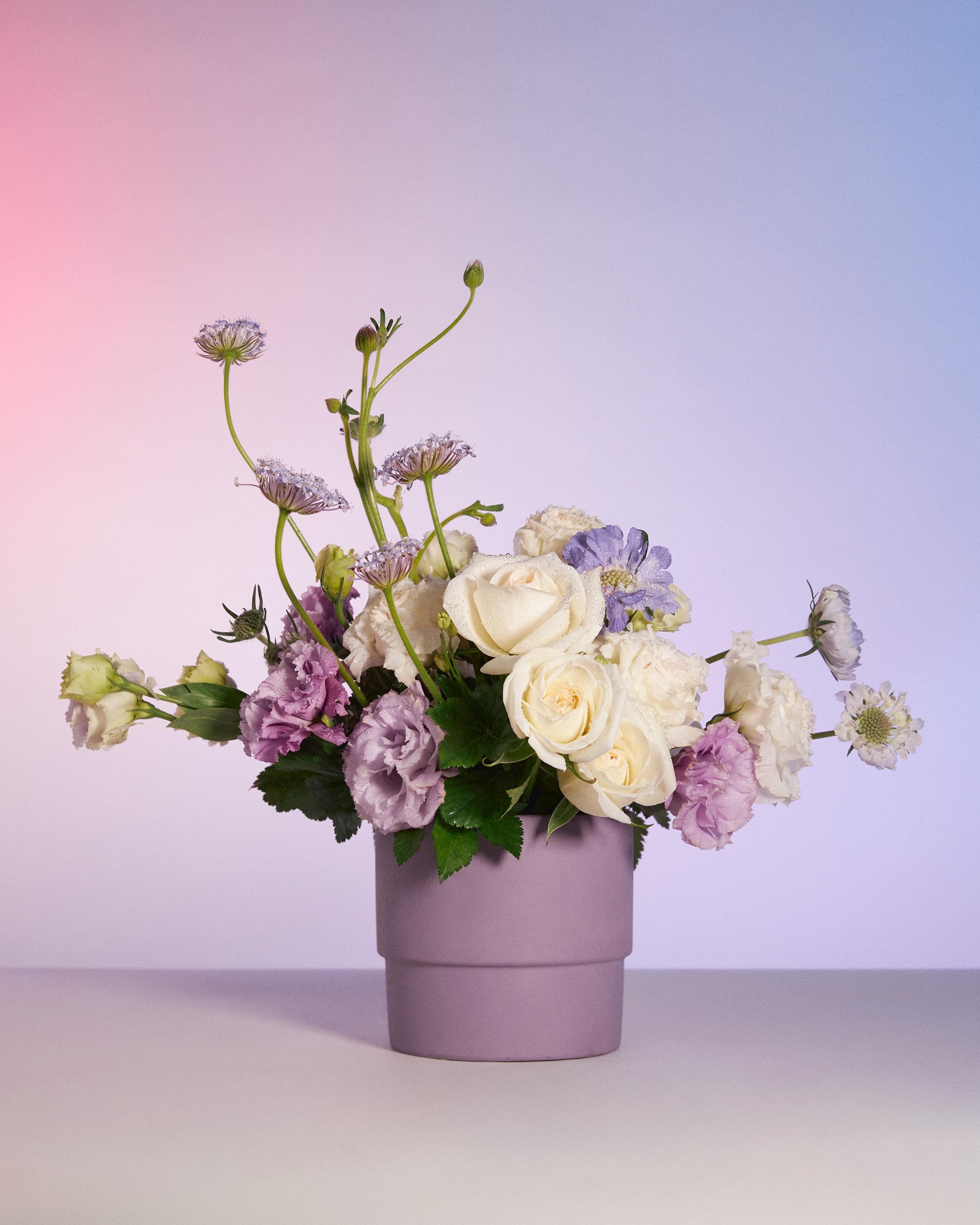 情人節禮物推介2023|BLOOMS & BLOSSOMS Bloom In Vase 系列 $1,880