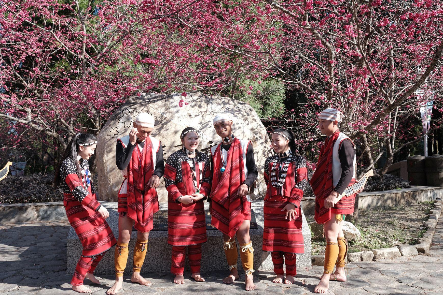 除了櫻花,當然也有連串精彩活動,例如YOSAKOI舞蹈快閃、太鼓迎春快閃,由熱情好客的原住民載歌載舞演出,氣勢磅礡,充滿文化特色。