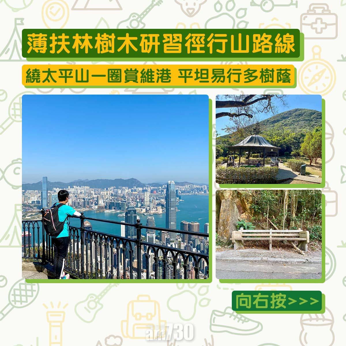 薄扶林樹木研習徑