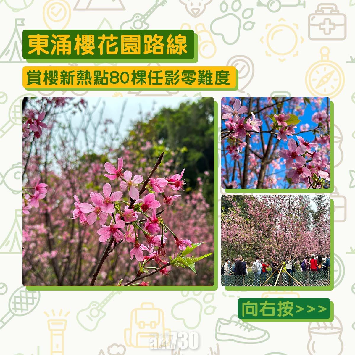 東涌櫻花園