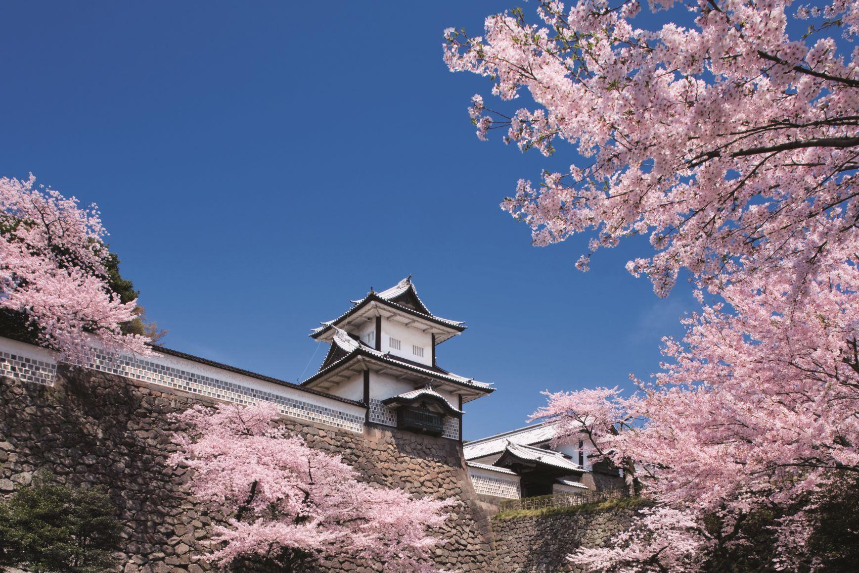 石川縣-兼六園、金澤城公園