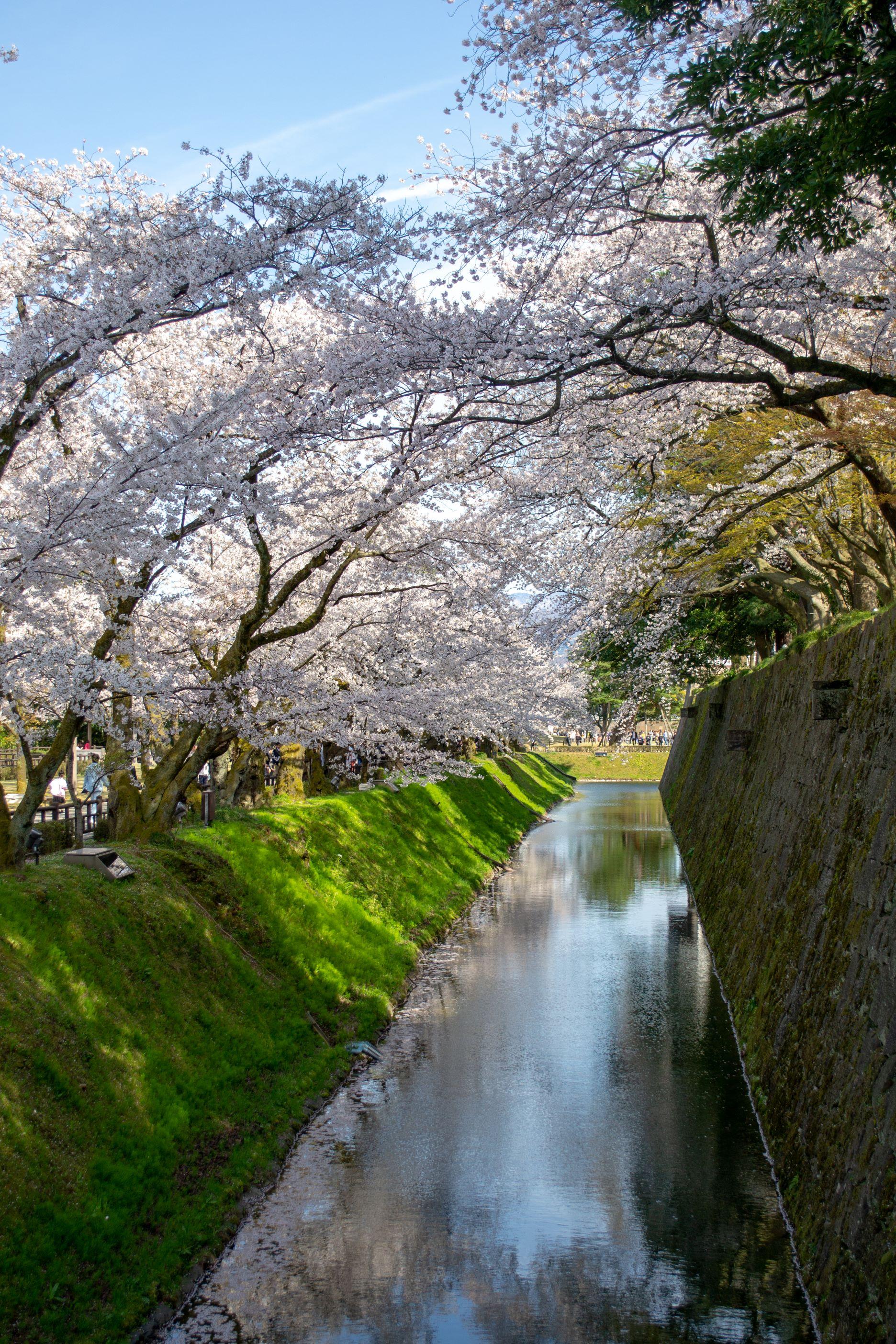 石川縣-兼六園、金澤城公園