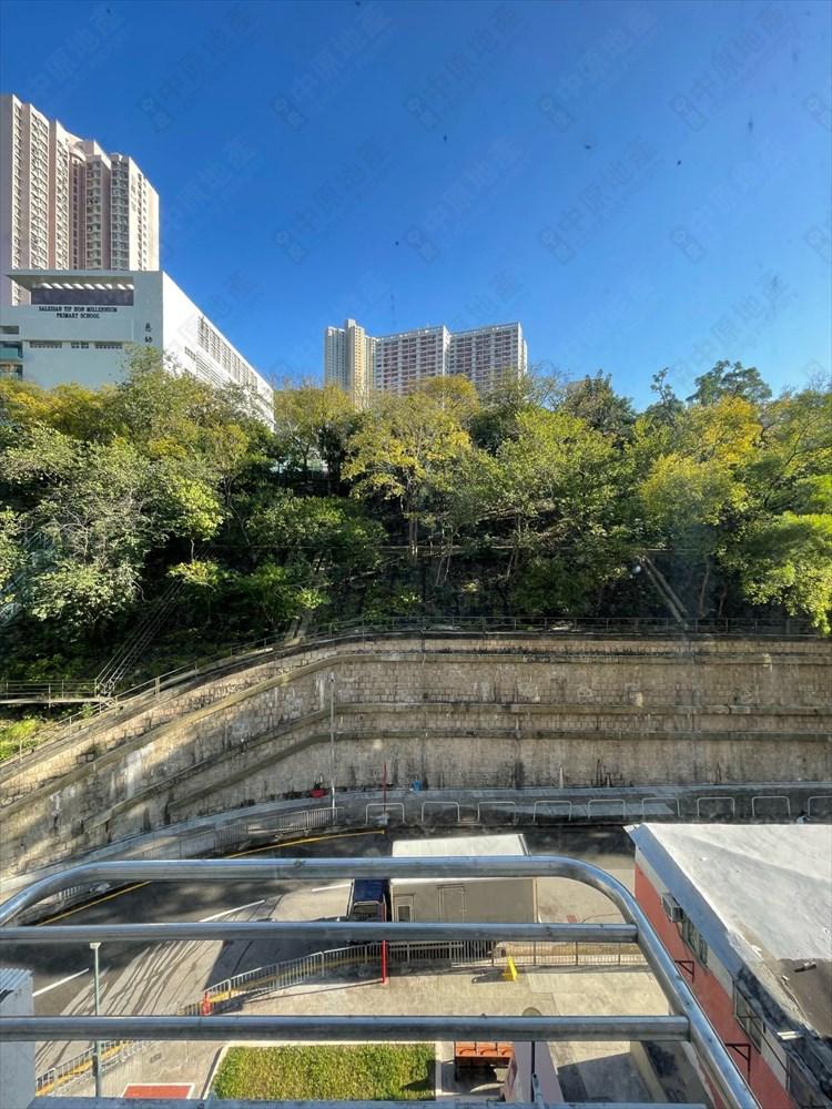 景觀以開揚樹景為主。(代理提供)