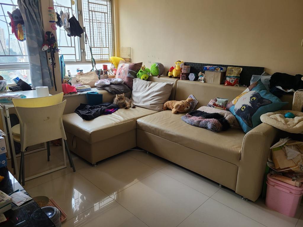 單住裝修企理,景觀望東南市景,視野遼闊開揚。(代理提供)