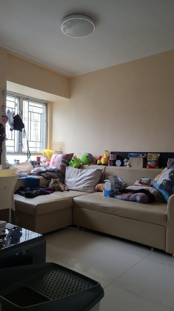 單位間隔四正實用。(代理提供)