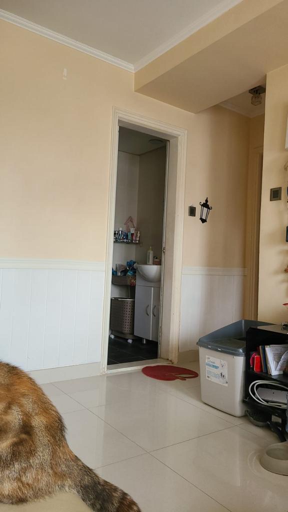 單位地板和牆身尚算新淨。(代理提供)