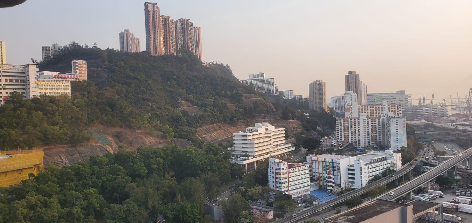 單位望開揚山景、市景和少許海景,景觀理想。(代理提供)