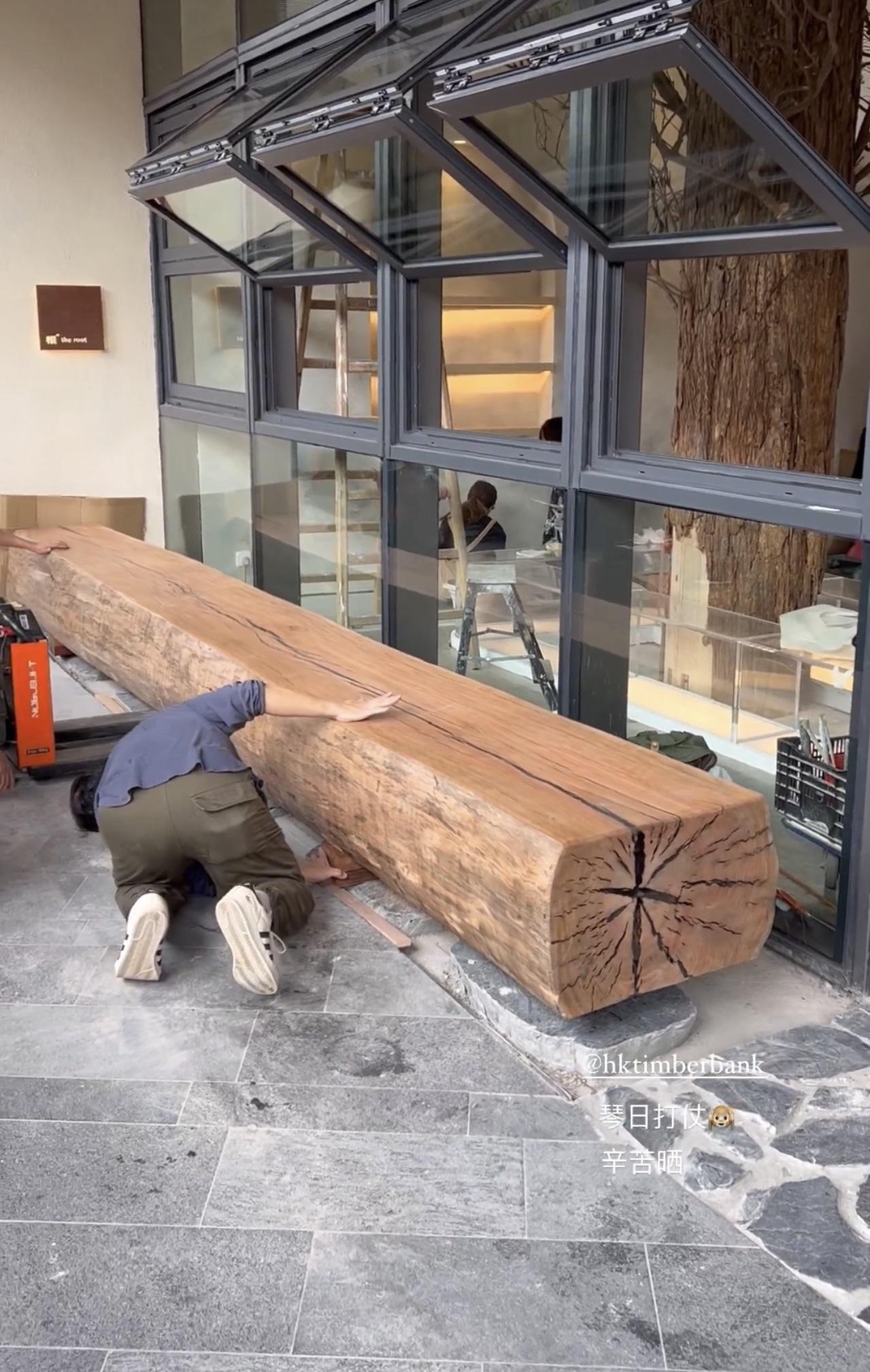 店外長達5米半的木櫈,與店裡的巨樹,取自同一棵倒下的樟樹。