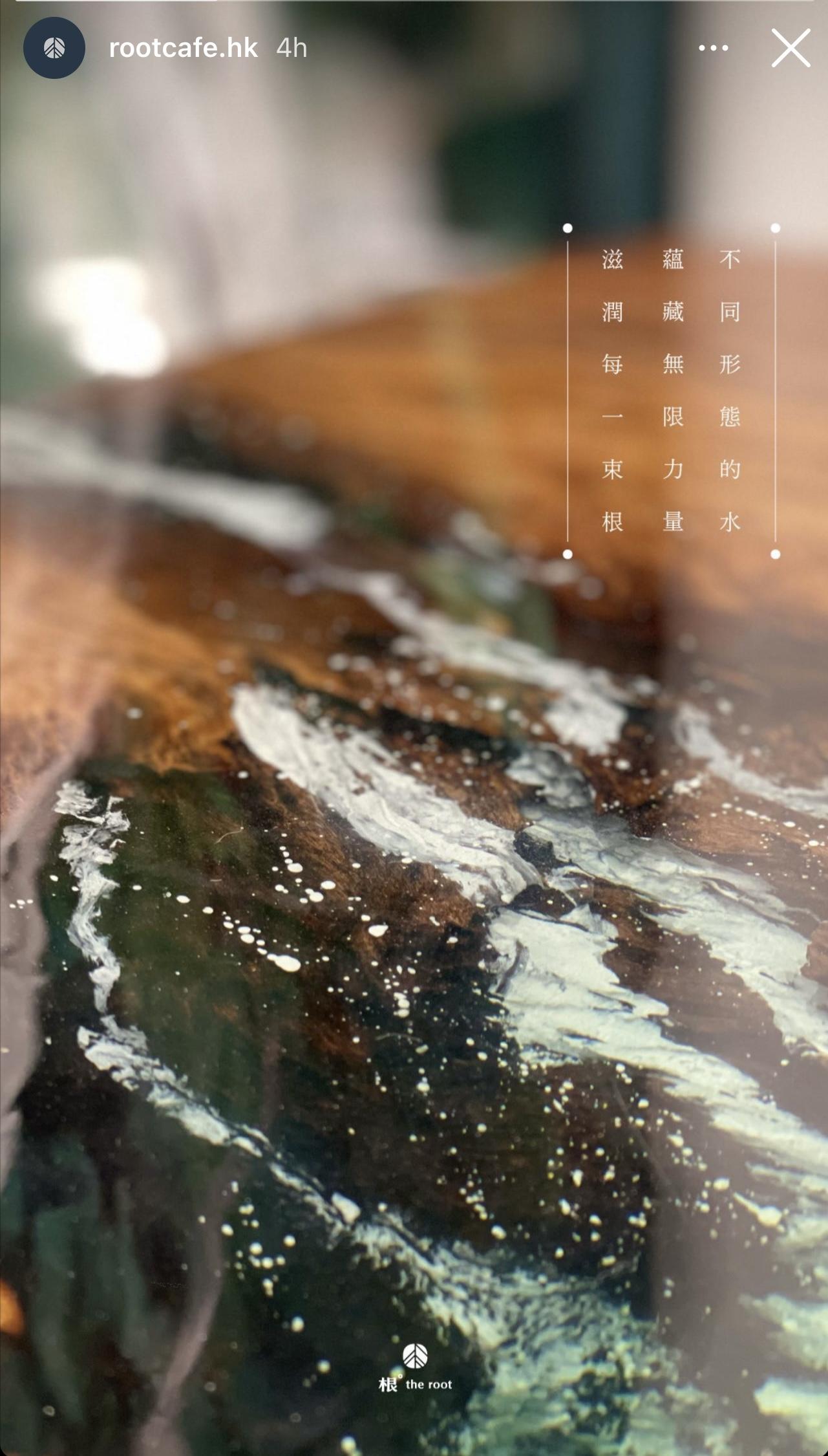 Jer與友人合資開Cafe,以環保和樹木為主題。(IG@rootcafe.hk)