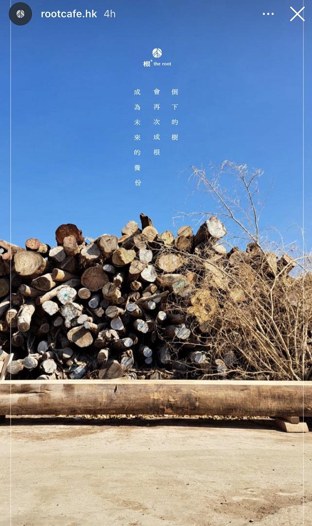 Jer與友人合資開Cafe,以環保和樹木為主題。(IG@rootcafe.hk)
