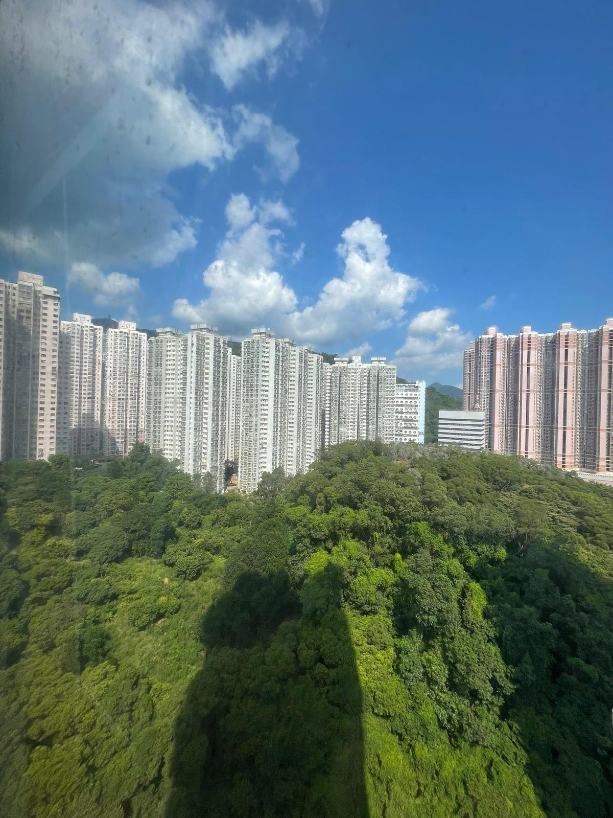 全屋景觀以綠油油山巒景為主,同時遠望樓景。