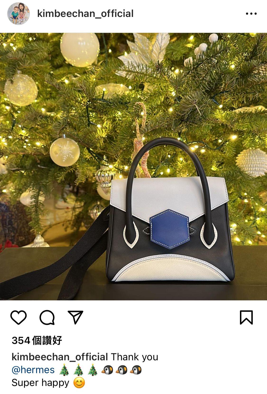 甘比亦是愛馬仕粉絲。(陳凱韻IG)