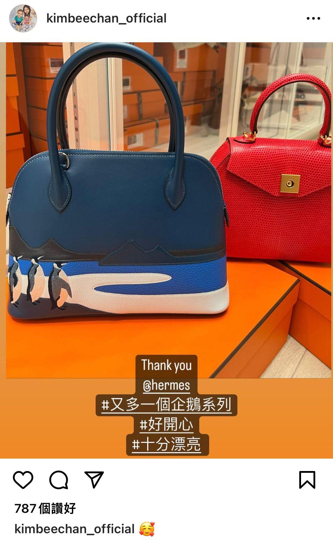 甘比亦是愛馬仕粉絲。(陳凱韻IG)